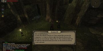 Video game companion system mechanics - Neverwinter Nights