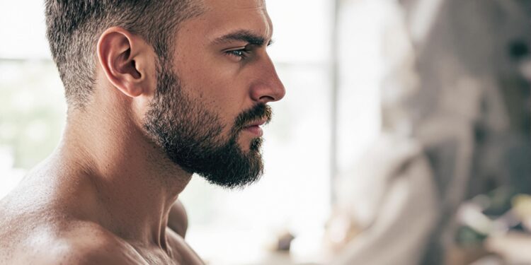 Gay Male Romance Literature Development and Classification