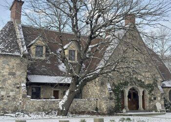 Reading strategies and support for classic literature study