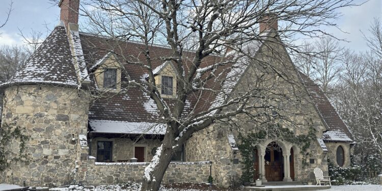 Reading strategies and support for classic literature study