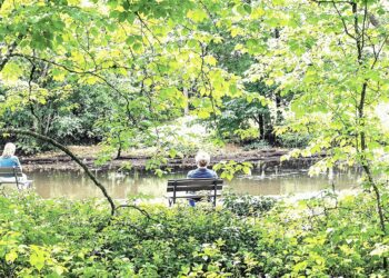 Literary Age Categories and Character Development