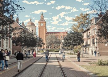 Literature in academia and humanities education