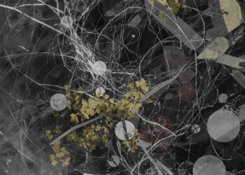 Literary artistic elements and techniques