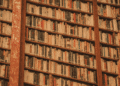 The Enduring Power of Literature: A Window into Humanity