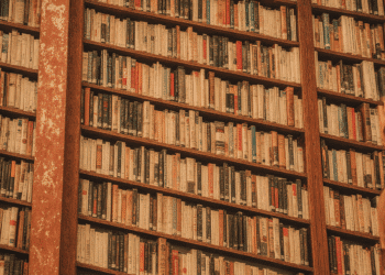 The Enduring Power of Literature: A Window into Humanity